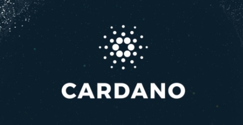 怪しい通貨から本物へ！カルダノ/エイダコイン(Cardano/ADA)の真相に迫る！